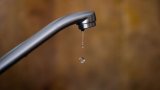 Gaz cancérogène dans l'eau potable: un recours déposé pour forcer l'Etat à réagir