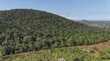 Au Kenya, cinq petits villages et une forêt au cœur de la course mondiale aux terres rares
