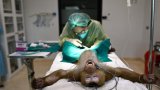 Singes et éléphants: la vie d'un hôpital pour animaux de Thaïlande