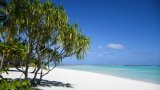 Seul sur un atoll polynésien pendant 240 jours pour repenser notre lien au vivant