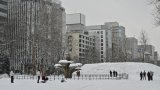 Japon : plusieurs décès après des chutes de neige record