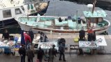En Méditerranée, les poissons cherchent la fraîcheur et ça recompose nos assiettes