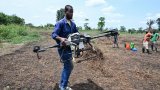En Côte d'Ivoire, les nouvelles technologies au secours d'une agriculture boudée par les jeunes