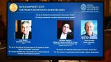 Le Nobel d'économie 2025 décerné à un trio pour des travaux sur la croissance et l'innovation