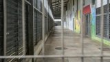 Guadeloupe: un sexagénaire braque un supermarché pour entrer en prison et retrouver son petit-fils