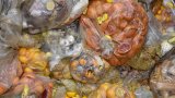 L'UE s'attaque au gaspillage alimentaire et à la fast fashion