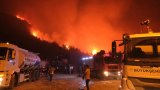 La Turquie suffoque, ses forêts brûlent