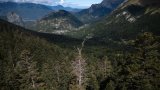 Le combat des forestiers pour sauver la forêt pyrénéenne