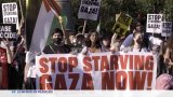 Guerre de Gaza : les ONG dénoncent une famine de masse