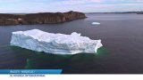 Canada : la danse majestueuse des icebergs