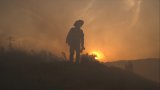 Climat : l'Europe frappée par les incendies