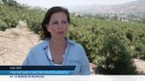 États-Unis : l'angoisse au quotidien des ouvriers agricoles