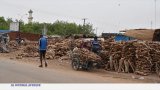 Niger : conséquences de la pression des djihadistes sur le commerce du bois