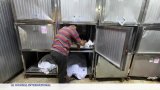 Gaza : 7 soldats israéliens tués, 46 Palestiniens morts lors d'une distribution