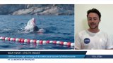180km à la nage, un cri du coeur pour sauver la Méditerranée