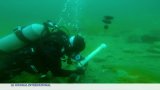 Biodiversité : état des fonds marins sur la côte atlantique de Terre-Neuve
