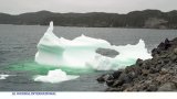 Canada : défilé d'icebergs autour de l'île de Terre-Neuve