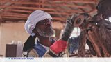 Sculpture : Emmanuel Ekokotou, le bois, sous toutes ses formes