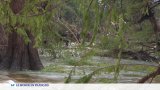 Inondations au Texas : l'espoir s'amenuise