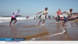 Afrique du Sud : début de la saison des sardines