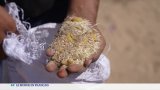 Gaza : du riz mélangé à du sable pour apaiser la faim