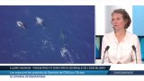 Environnement : les enjeux et les priorités du Sommet de l'ONU sur l'Océan