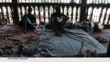 Sierra Leone : sortir du kush