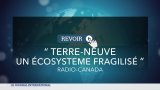 Terre-Neuve : écosystème fragilisé