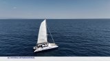 UNOC 3 : comment préserver la biodiversité face au trafic maritime ?