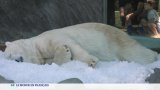 Europe : des records de températures battus