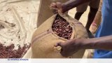 Nigeria : la filière cacao en force