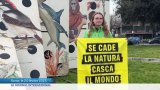 COP16 : les pourparlers reprennent à Rome