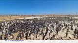 Gaza : la situation humanitaire empire