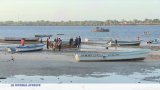 Kenya : le concombre de mer, entre succès économique et inquiétude écologique