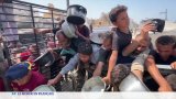 Bande de Gaza : la situation de famine alarmante