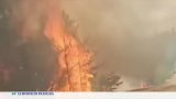Canada : Manitoba en proie à de violents feux de forêt
