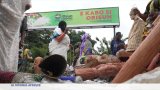 Nigeria : célébration d'Oshun, la divinité des rivières et des eaux douces
