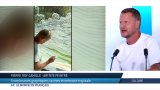 Peinture : entre brumes graphiques, ravines et mémoires tropicales
