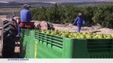 Afrique du Sud : la crainte face aux droits de douanes américains