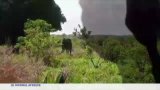 RD Congo : une femme de 60 ans tuée par un éléphant à Ankoro