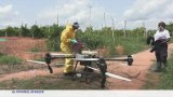 Côte d'Ivoire : l'essor de l'Agritech