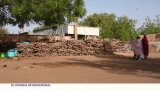 Niger : le bois se fait rare