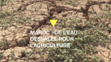 Maroc : l'eau dessalée au secours de l'agriculture