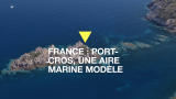 France : Port-Cros, la plus vieille aire marine protégée d'Europe montre l'exemple