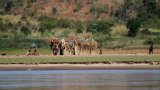 Madagascar: le peuple sakalava célèbre son nouveau roi, 128 ans après l’assassinat de son aïeul